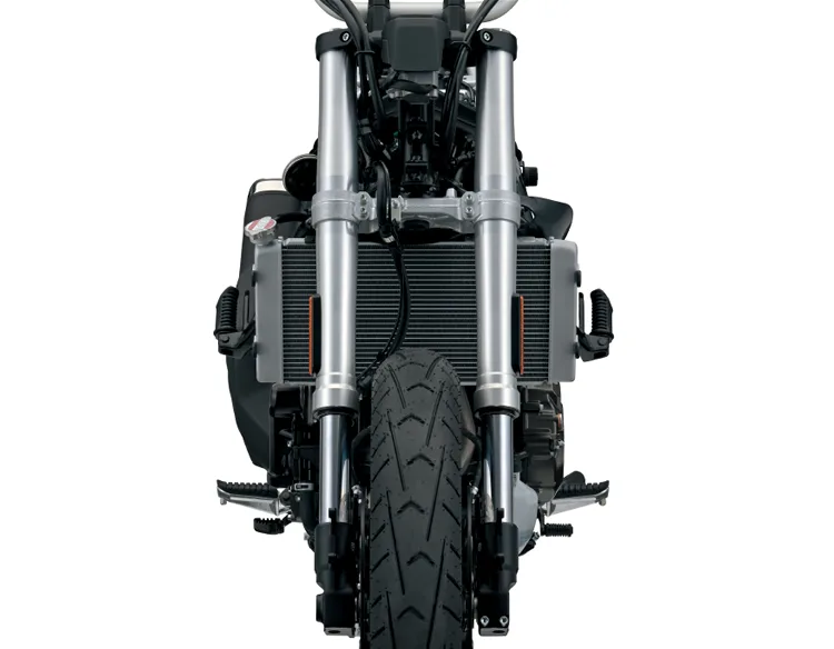 V-STROM 800