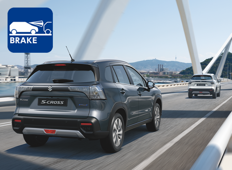 DSBS II (Dual Sensor Brake Support)